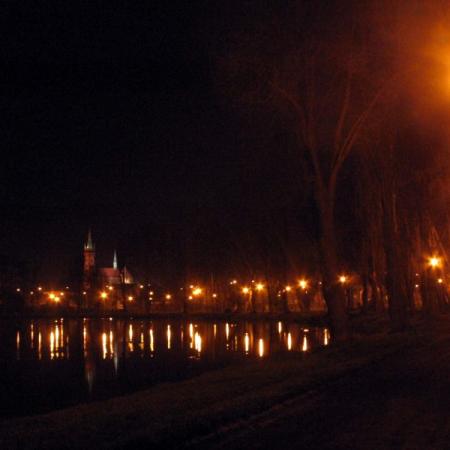 Widok Parku Miejskiego w nocy