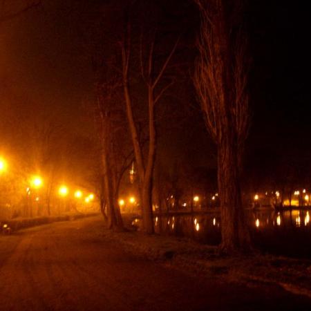 Widok Parku Miejskiego w nocy