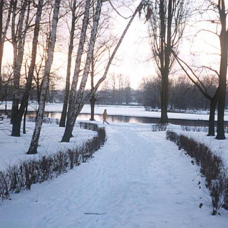 Widok Parku Miejskiego zimą, widok na drogę i staw