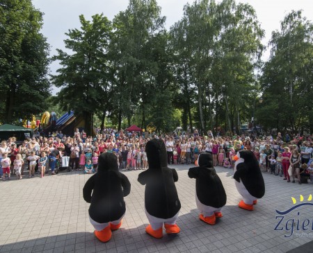 Powiększ zdjęcie