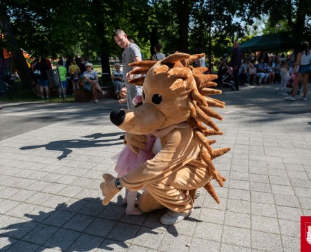 Powiększ zdjęcie