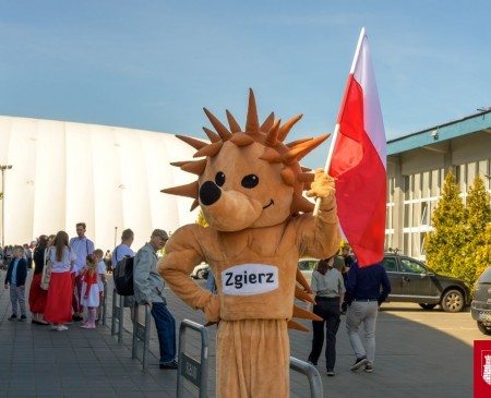 Powiększ zdjęcie