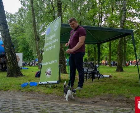Powiększ zdjęcie