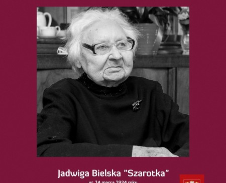 Powiększ zdjęcie
