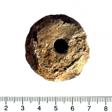 Odkrycie archeologiczne - przęślik tkacki