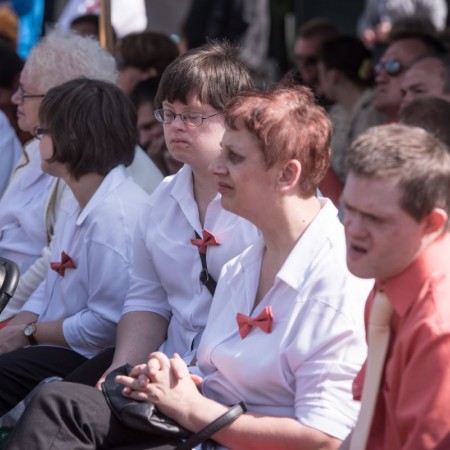 Festyn "Sami o sobie" -  pasaż im. V. Sheybala