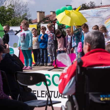 Festyn "Sami o sobie" -  pasaż im. V. Sheybala