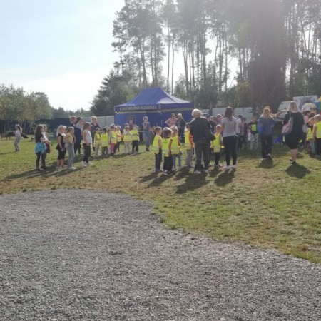 Zajęcia edukacyjne w schronisku w Jasionce