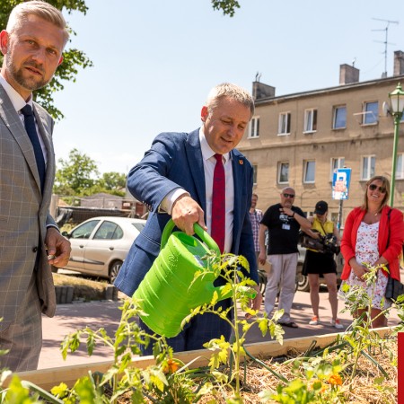 Andrzej Górczyński (wicemarszałek Województwa Łódzkiego) podlewa nasadzenia