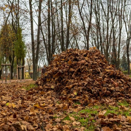 domek dla jeży przykryty kopcem liści