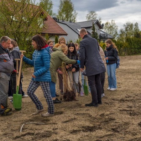 uczniowie szkoły podstawowej numer 10 sadzą drzewa przy ulicy Proboszczewice