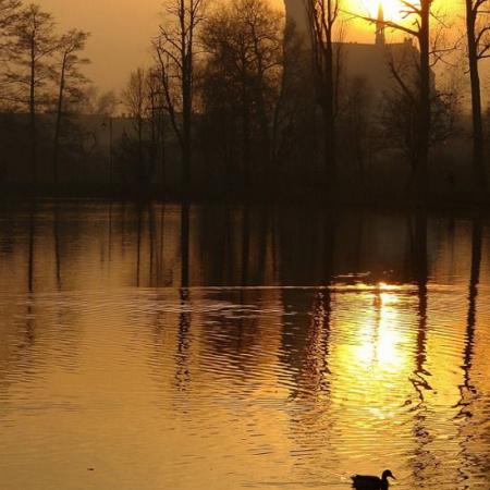 Widok na Park Miejski i staw w parku podczas jesieni 2008