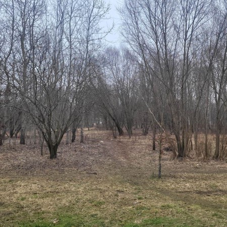 teren przy ulicy Boya-Żeleńskiego w Zgierzu- widok przed rozpoczęciem inwestycji (luty 2023 r.)