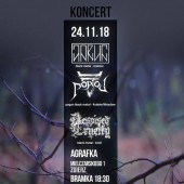 Plakat promujący koncert w Zgierzu