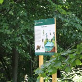 Tablica edukacyjna w lesie na terenie ośrodka "Malinka"