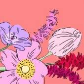 grafika