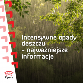 grafika