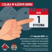 infografika