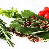 Zioła - fot. pixabay.com (domena publiczna)