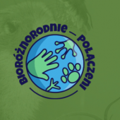 logo kampanii