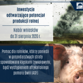 grafika informacyjna