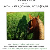Wakacyjny plener plakat