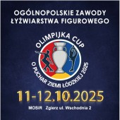 Łyżwiarstwo figurowe na lodzie
