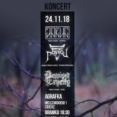 Plakat promujący koncert w Zgierzu