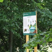Tablica edukacyjna w lesie na terenie ośrodka "Malinka"
