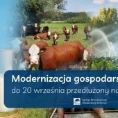 Grafika