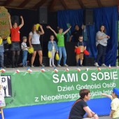 Występy na scenie przeglądu w Parku Miejskim w Zgierzu - fot. Starostwo Powiatowe w Zgierzu