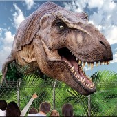 Dino Expo & Show