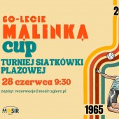 Turniej plażowej piłki siatkowej 