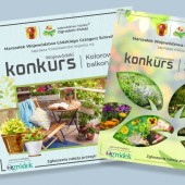 grafika