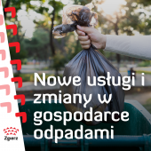 grafika