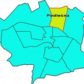 Piknik osiedlowy - Podleśnia