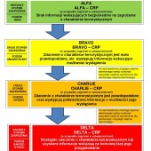 Grafika informacyjna