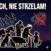 infografika OTOZ Aminals