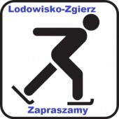 Logo lodowiska