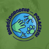 logo kampanii