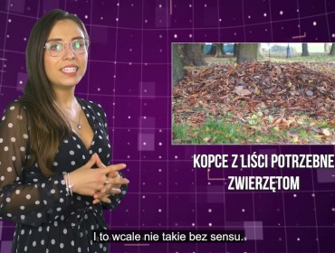 Zgierska Przestrzeń #84 [28.10.2022]