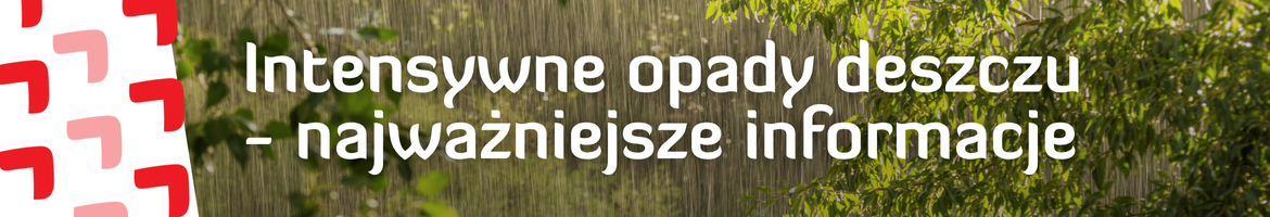 Przejdź do informacji